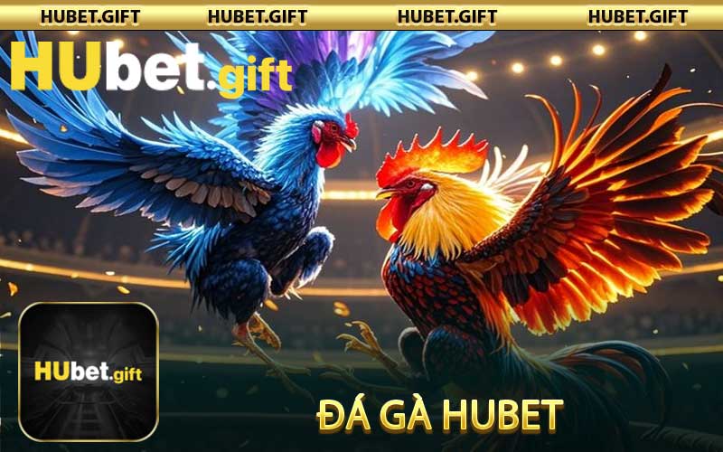 Đá Gà Hubet